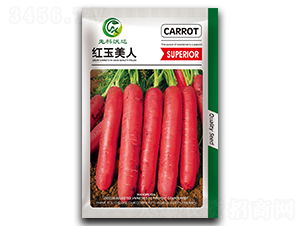 �t������-���}���N��-�����_(d��)