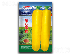 �|���S��-���}���N��-�����_(d��)