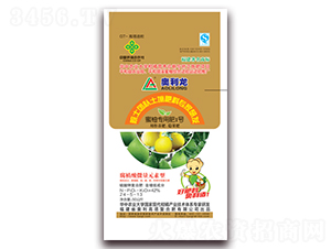 ���֌��÷�1̖(h��o)24-5-13-�W����-�W��