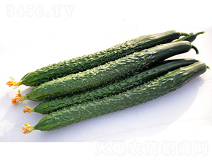 DY101-�S�ϷN��-����r(n��ng)�I(y��)