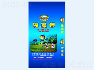 Ħ��纣���-���R��