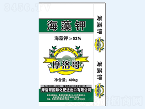 52%Ħ��纣���-���R��