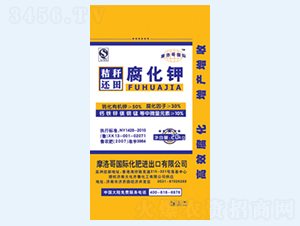 �ն�߀�︯���-���R��