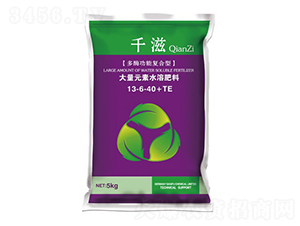 ��ø���܏�(f��)���ʹ���Ԫ��ˮ�ܷ�13-6-40+TE-ǧ��-�A�����r(n��ng)