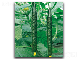 �G��2̖(h��o)-�S�ϷN��-�����r(n��ng)