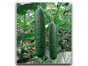 �G��4̖(h��o)-�S�ϷN��-�����r(n��ng)