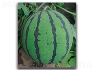 ����1̖-���ϷN��-�����r(n��ng)