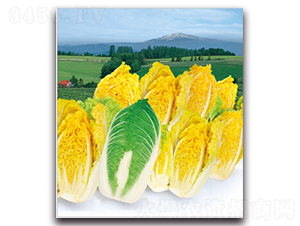 ����-�ײ˷N��-�����r(n��ng)