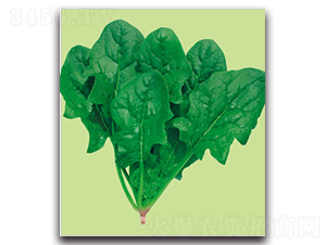 �S��-���˷N��-�����r(n��ng)