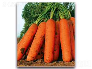 �tʥ��̖-�}���N��-�����r(n��ng)