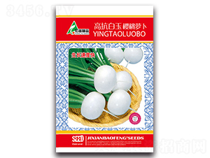 �߿���������}��-�}���N��-�����r