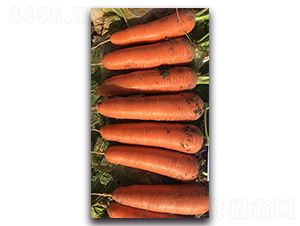 ��t90-�}���N��-�����r(n��ng)