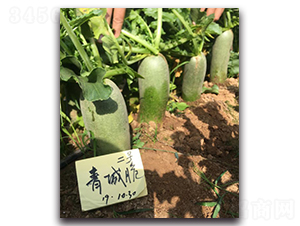 ��Ǵ��̖-�}���N��-�����r(n��ng)