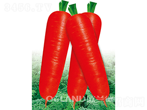 �|�7��-���}���N��-�W�m��