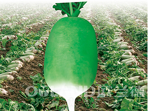 �д�791-�}���N��-�W�m��