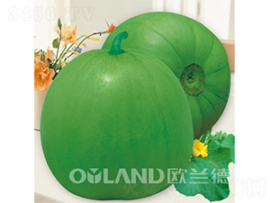 ���u����-��ϷN��-�W�m��