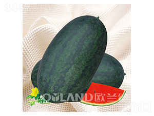 �W�m�º�����-���ϷN��-�W�m��