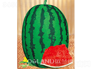 �A֮��-���ϷN��-�W�m��