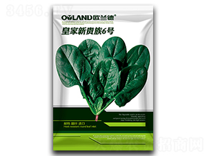 �ʼ����F��6̖-���˷N��-�W�m��