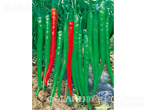 �G��ؐ-�����N��-�W�m��