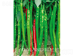 �G�ʄ�-�����N��-�W�m��