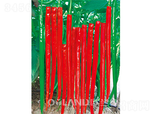 ����313-�����N��-�W�m��