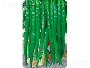 �ڽ��L-�����N��-�W�m��