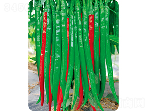 �G���L-�����N��-�W�m��