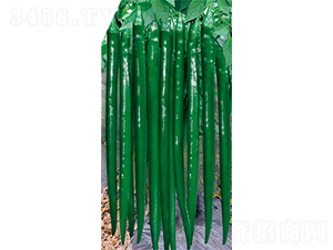 �W��114-�����N��-�W�m��