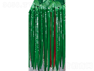 �W��214-�����N��-�W�m��