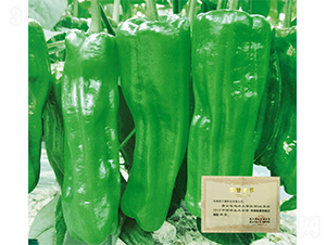 ��������W��500-�����N��-�W�m��