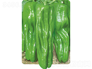 ��������W��600-�����N��-�W�m��