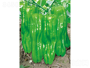 �W��700-�����N��-�W�m��