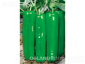 ���r(n��ng)301-�ݽ��N��-�W�m��