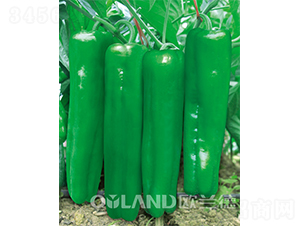 ���Ӗ(x��n)��(j��ng)���-�ݽ��N��-�W�m��