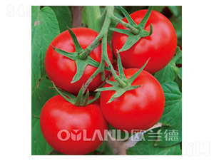 �W��318-���ѷN��-�W�m��