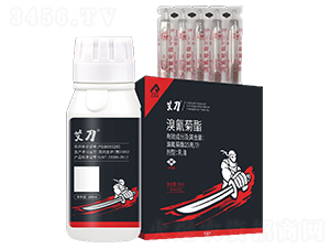 50ml�����������-����-�����r(n��ng)