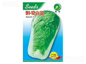 91-12-�ײ˷N��-�P���r(n��ng)�I(y��)