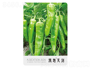 �P���섦-�����N��-�P���r(n��ng)�I(y��)