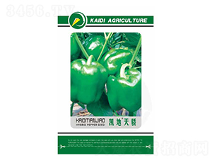 �P�����-�����N��-�P���r(n��ng)�I(y��)