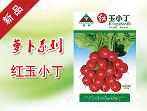 �t��С��-�}���N��-�P���r(n��ng)�I(y��)