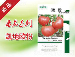 �W��-���ѷN��-�P���r(n��ng)�I(y��)