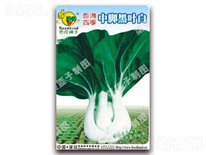 ����ļ����_���~��-�ײ˷N��-�����N�I(y��)