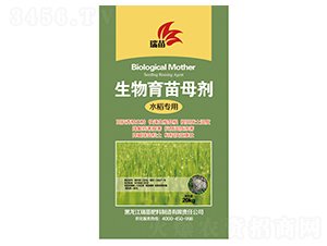 ��������ĸ��-����