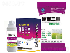 ��������-����