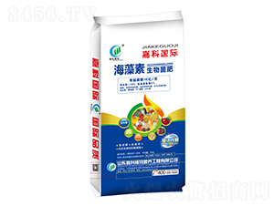 �������������-�ο�