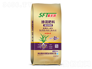 ����ጓ������26-6-8-������