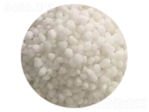 ��ɫ���w�������@-��N����