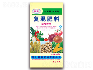 ������͏�(f��)�����-�ӱ����