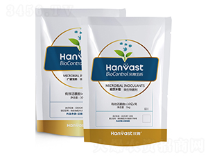 ΢�������-���ٌ�-�h΢����